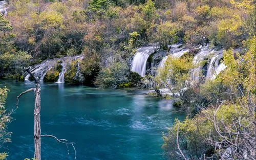 高效智能高性能